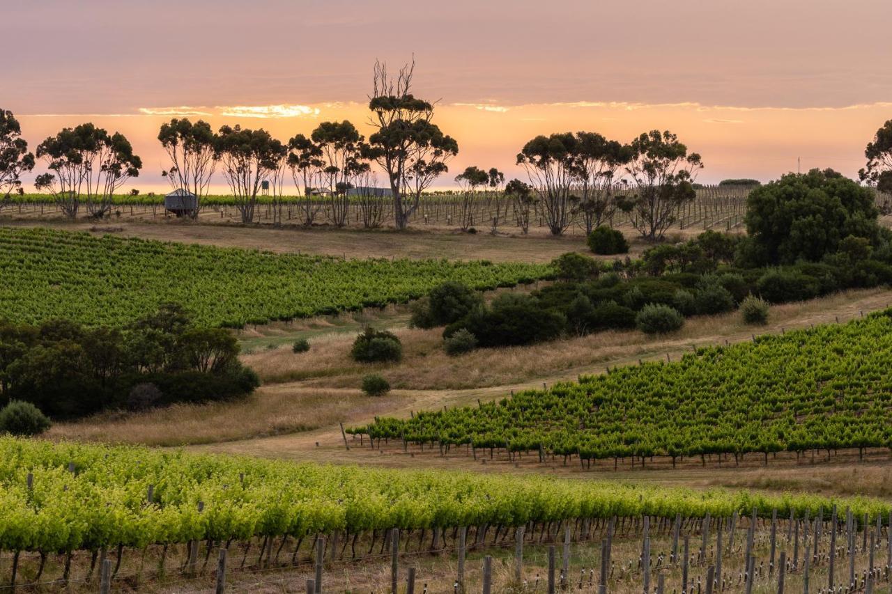 Hotel California Road At Inkwell Wines Mclaren Vale Exteriér fotografie