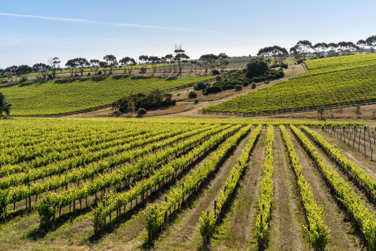 Hotel California Road At Inkwell Wines Mclaren Vale Exteriér fotografie